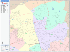 Round Rock Digital Map Color Cast Style